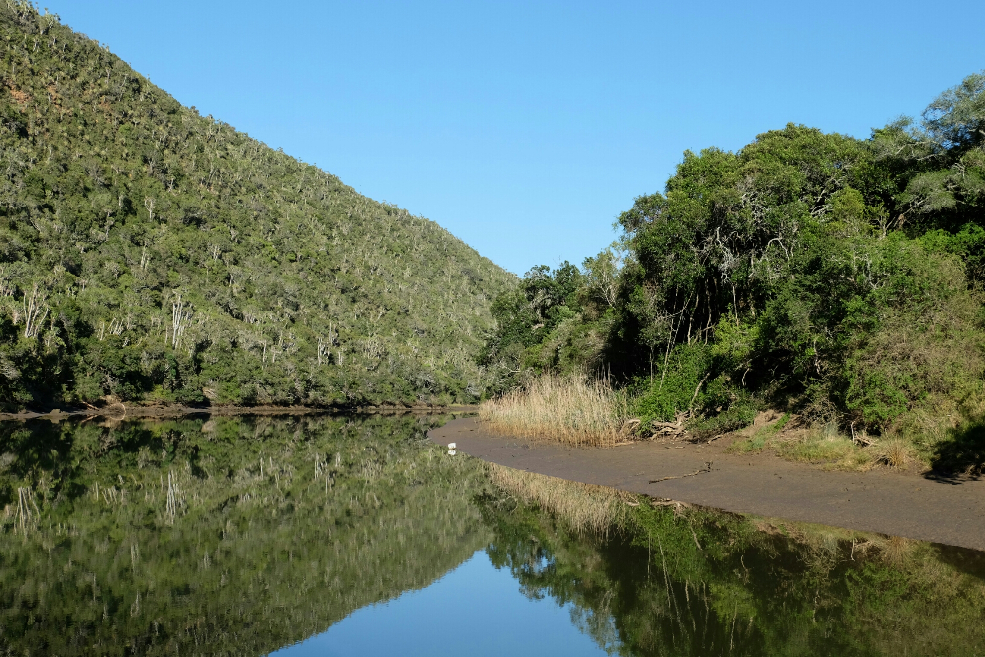 Kariega River Kariega River