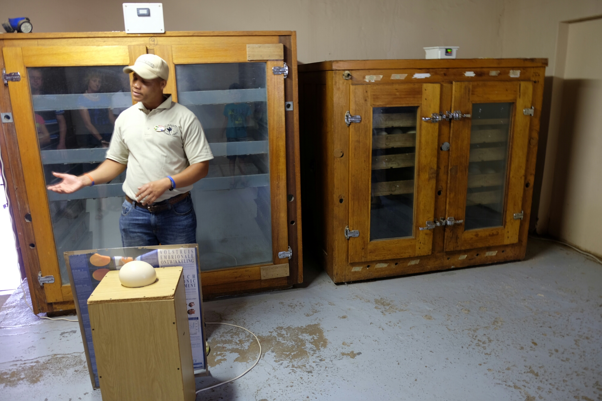 Auf der Straussenfarm Auf der Straussenfarm