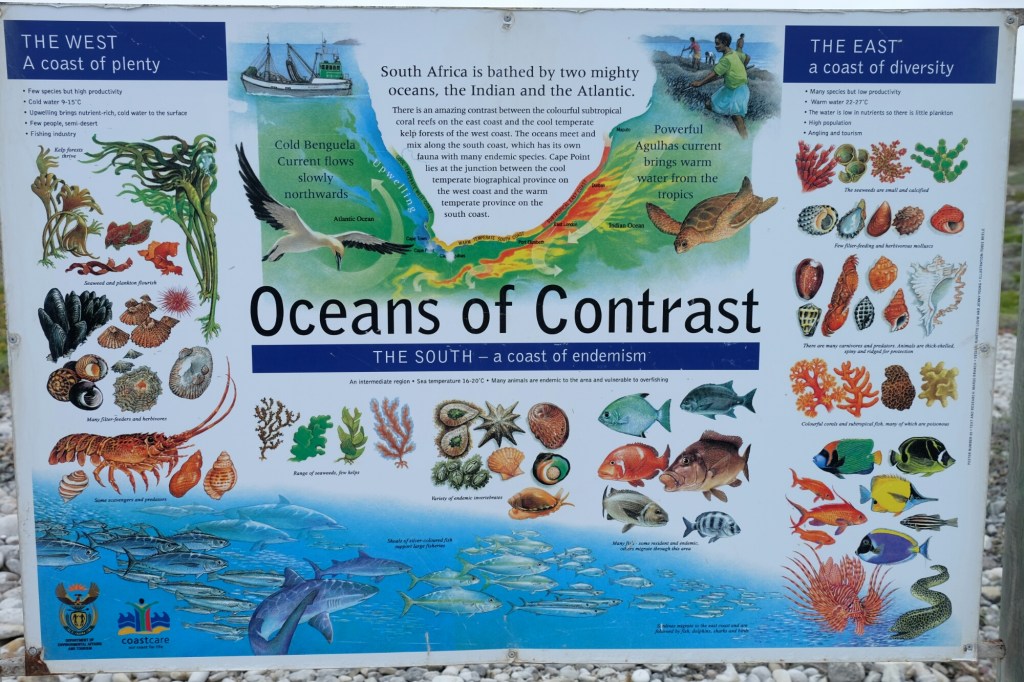 Tschüss Indischer Ozean – Hallo&nbsp;Atlantik