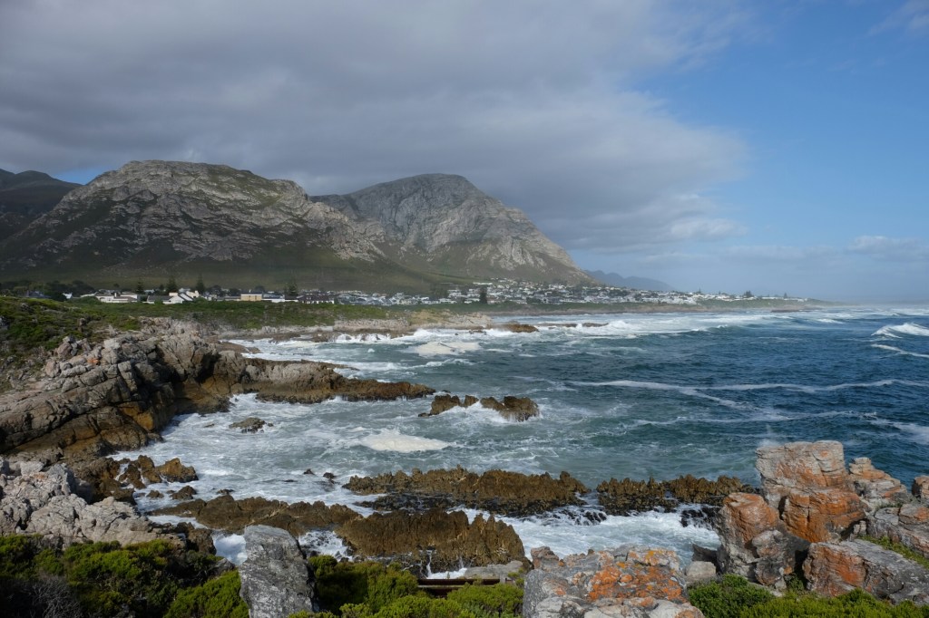 Hermanus
