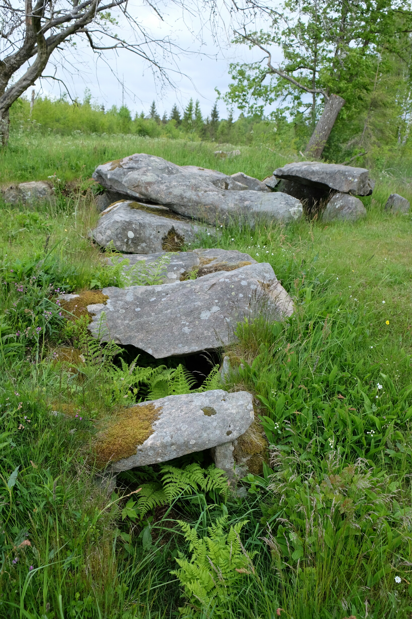 Ganggrab von Tolarp Ganggrab von Tolarp