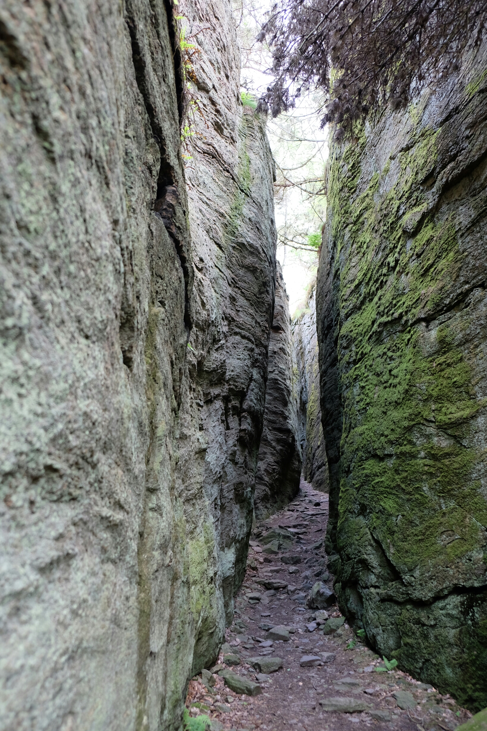Felskluft von Borrås Skåra Felskluft von Borrås Skåra