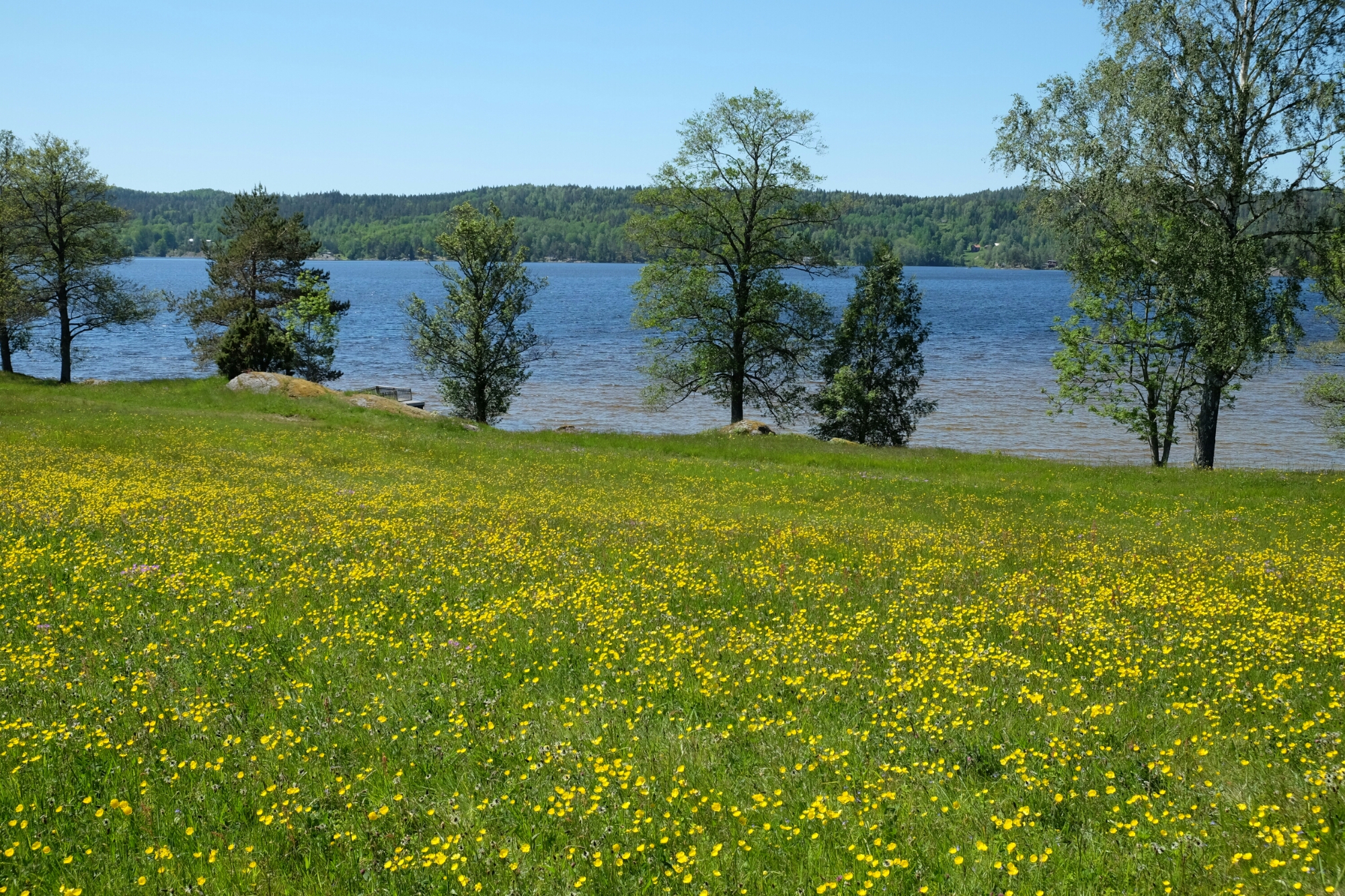Aussicht bei Högsbyns am Råvarp (See) Aussicht bei Högsbyns am Råvarp (See)