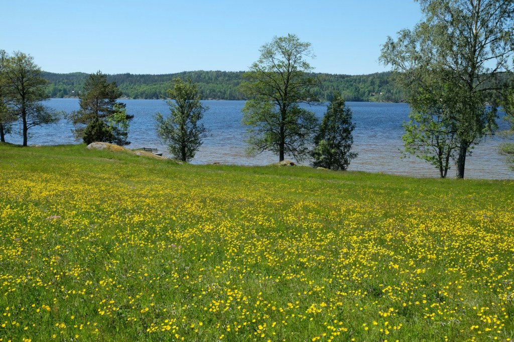 Dalsland-Impressionen