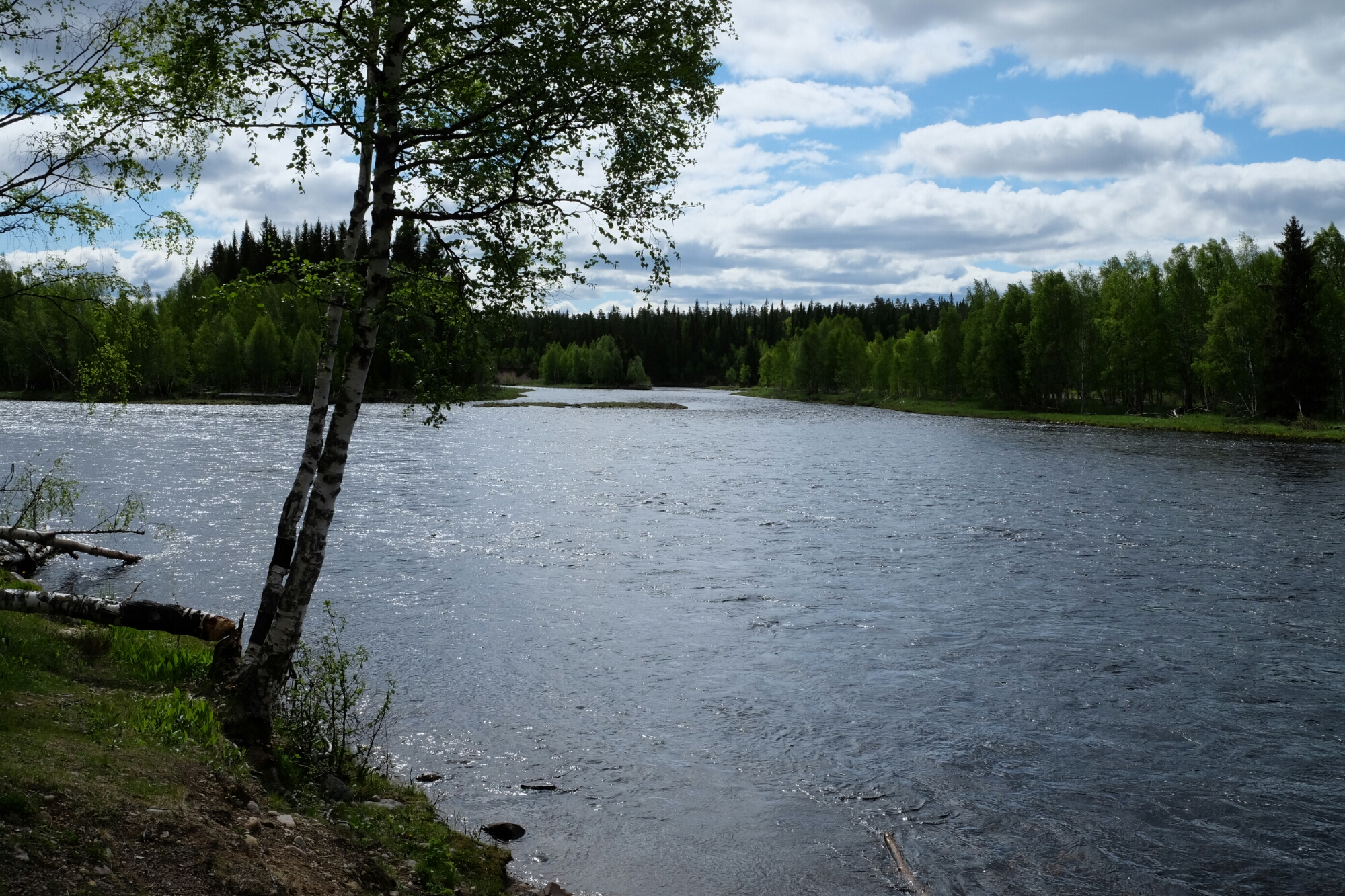 Västerdalälv (Fluss) Västerdalälv (Fluss)