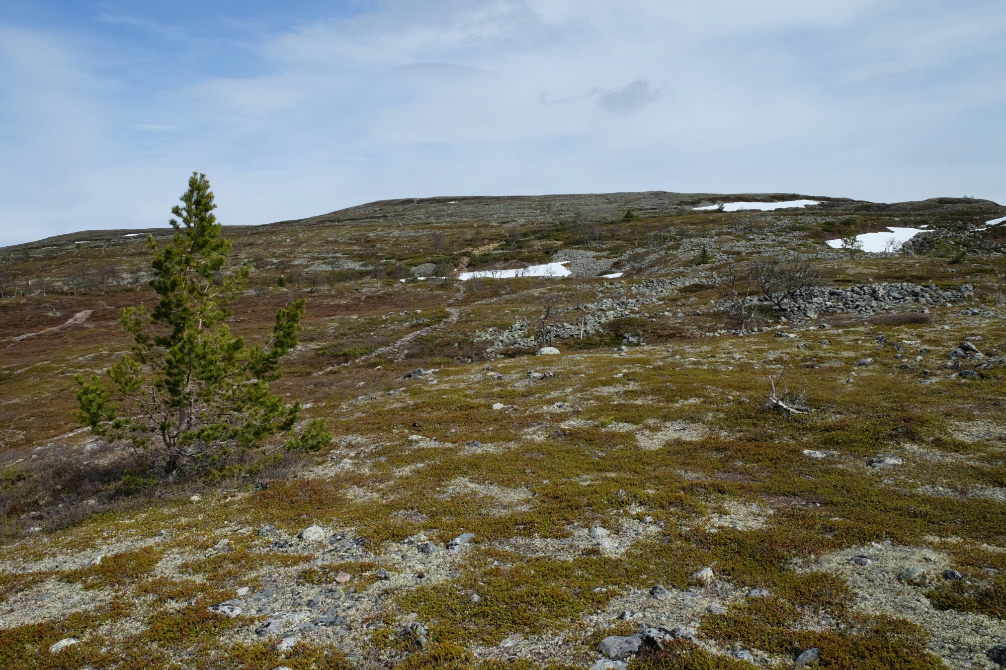 Långfjället Långfjället