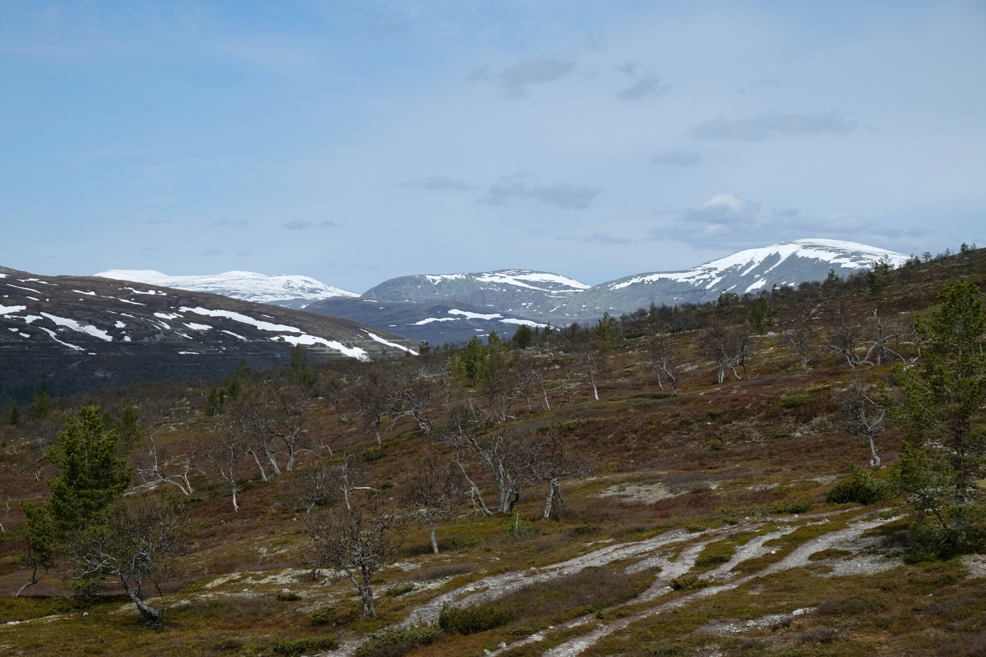 Långfjället Långfjället