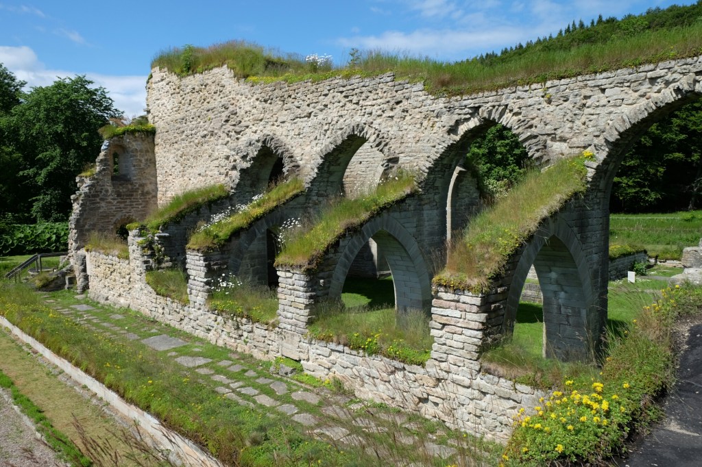 Alvastra Klosterruine