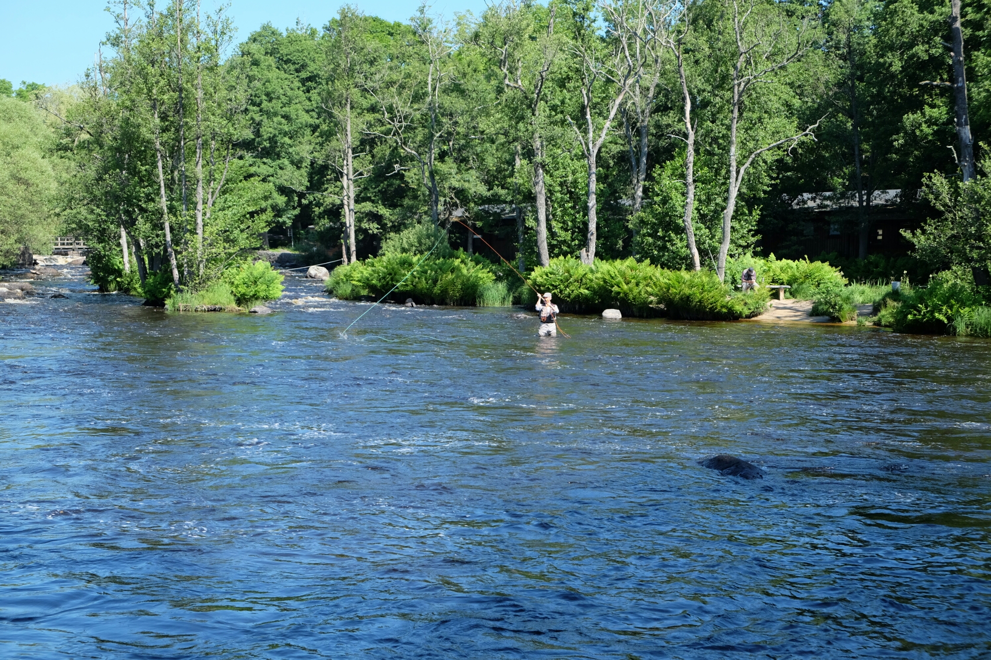 Lachsfischen bei Mörrum Lachsfischen bei Mörrum