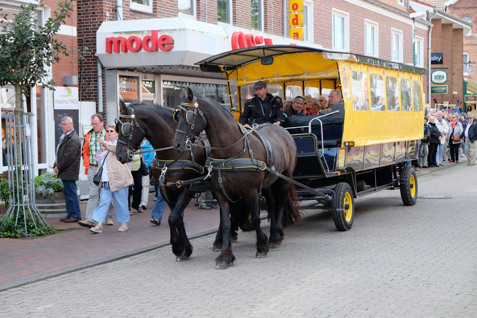 Pferdewagen auf Langeoog Pferdewagen auf Langeoog