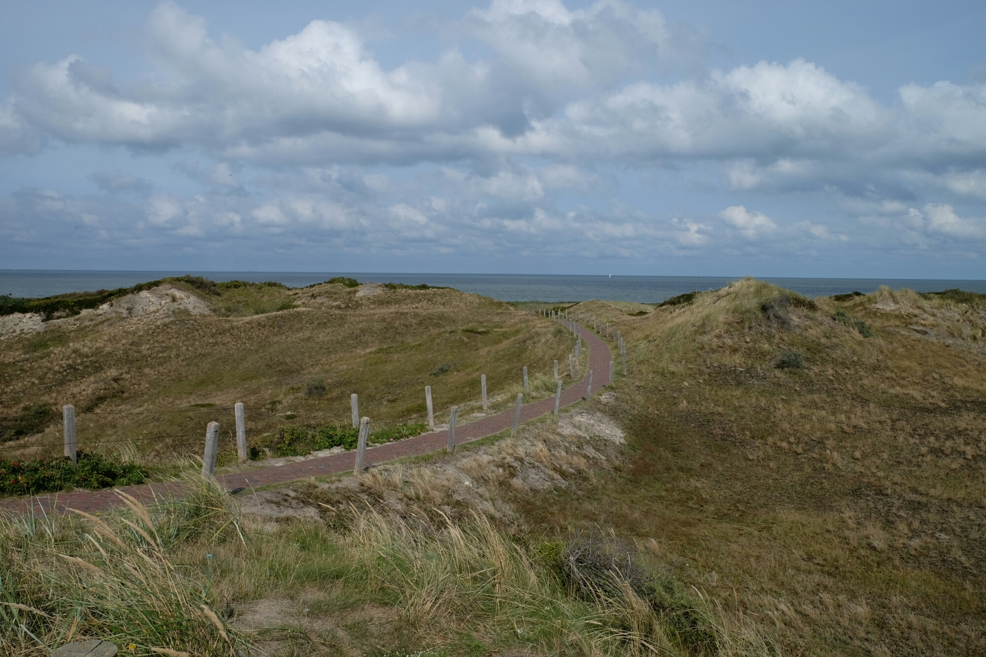 Dünen auf Langeoog image
