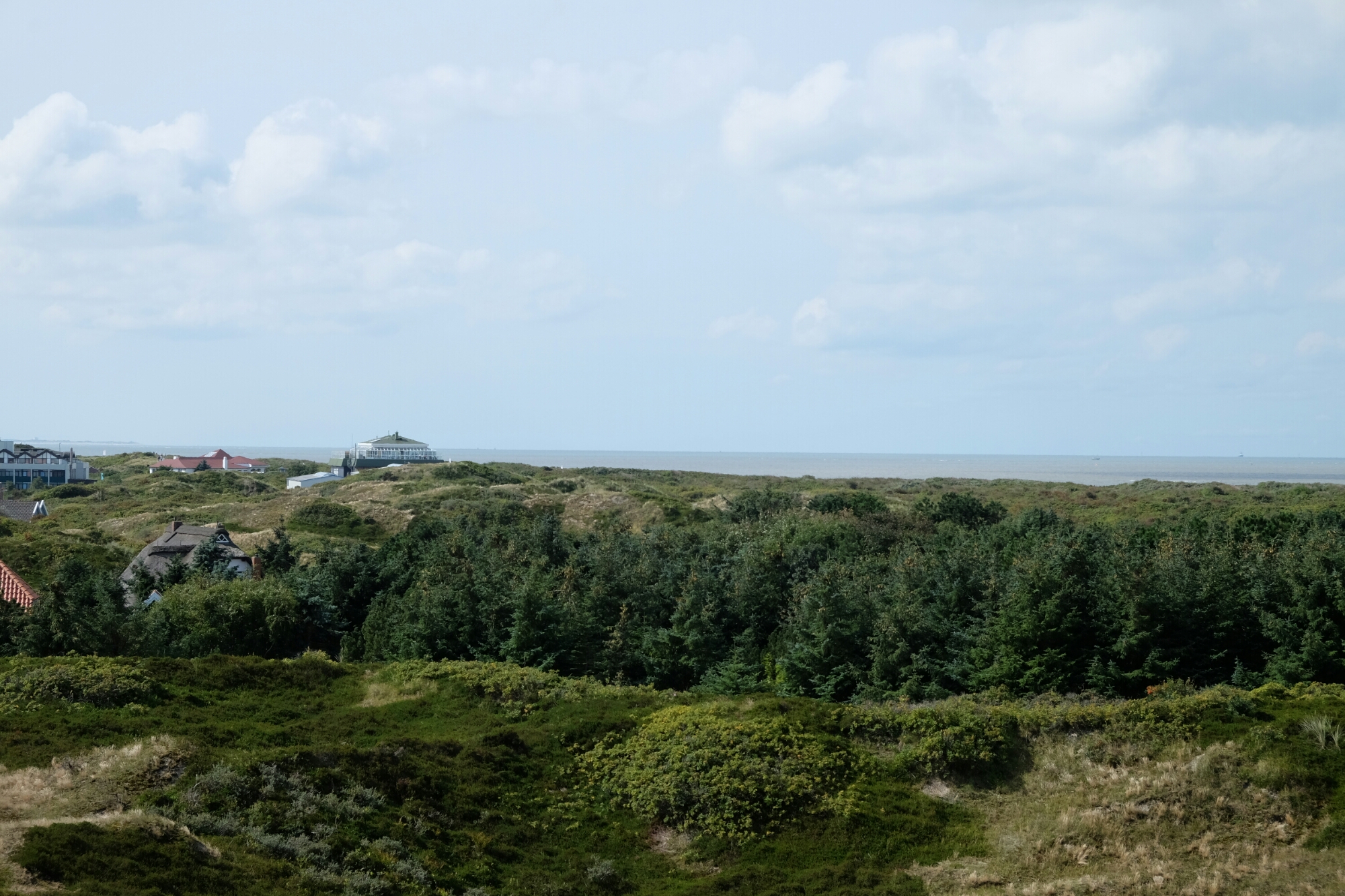 Dünen auf Langeoog Dünen auf Langeoog