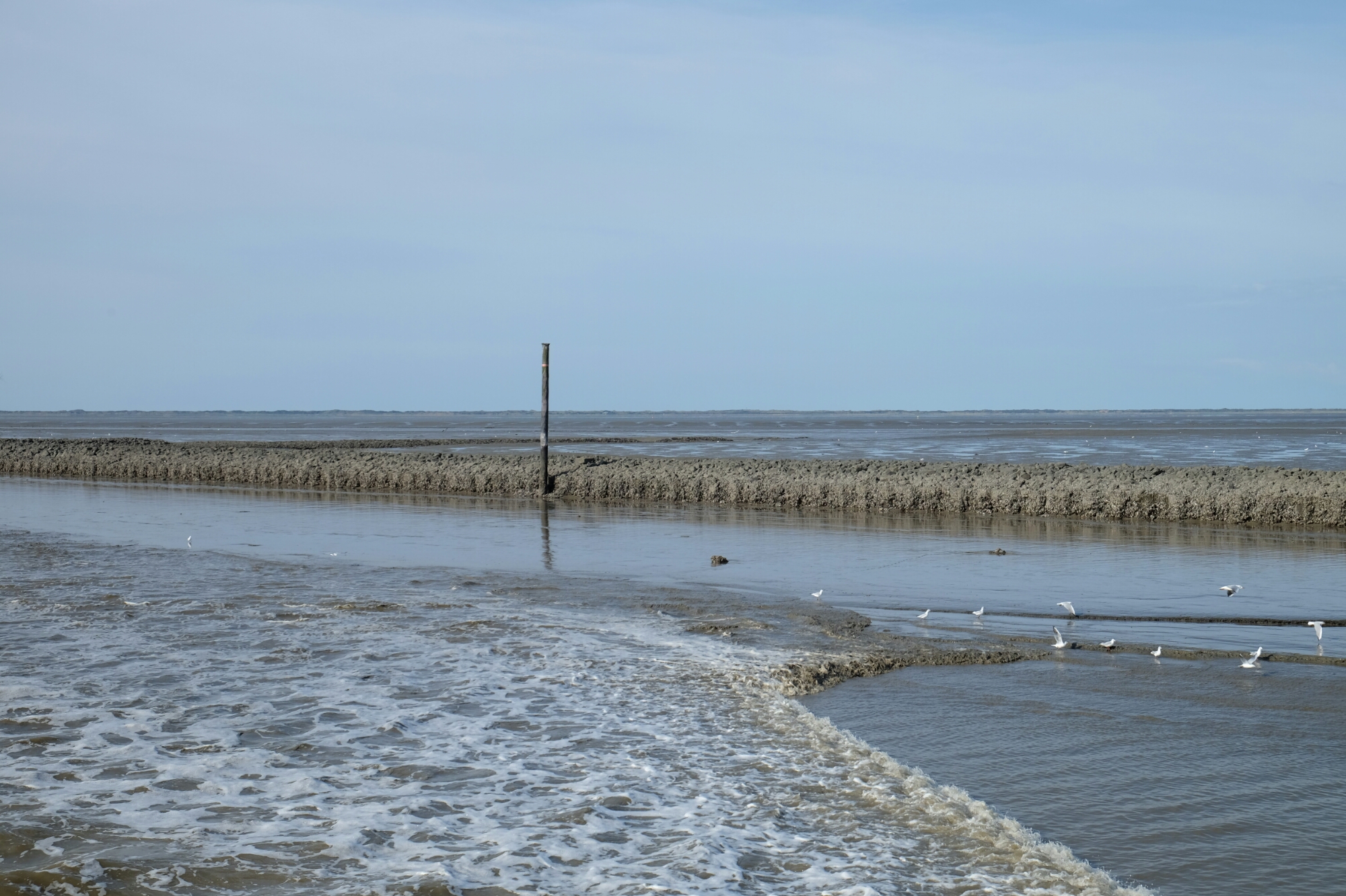 Niedrigwasser bei Bensersiel Niedrigwasser bei Bensersiel