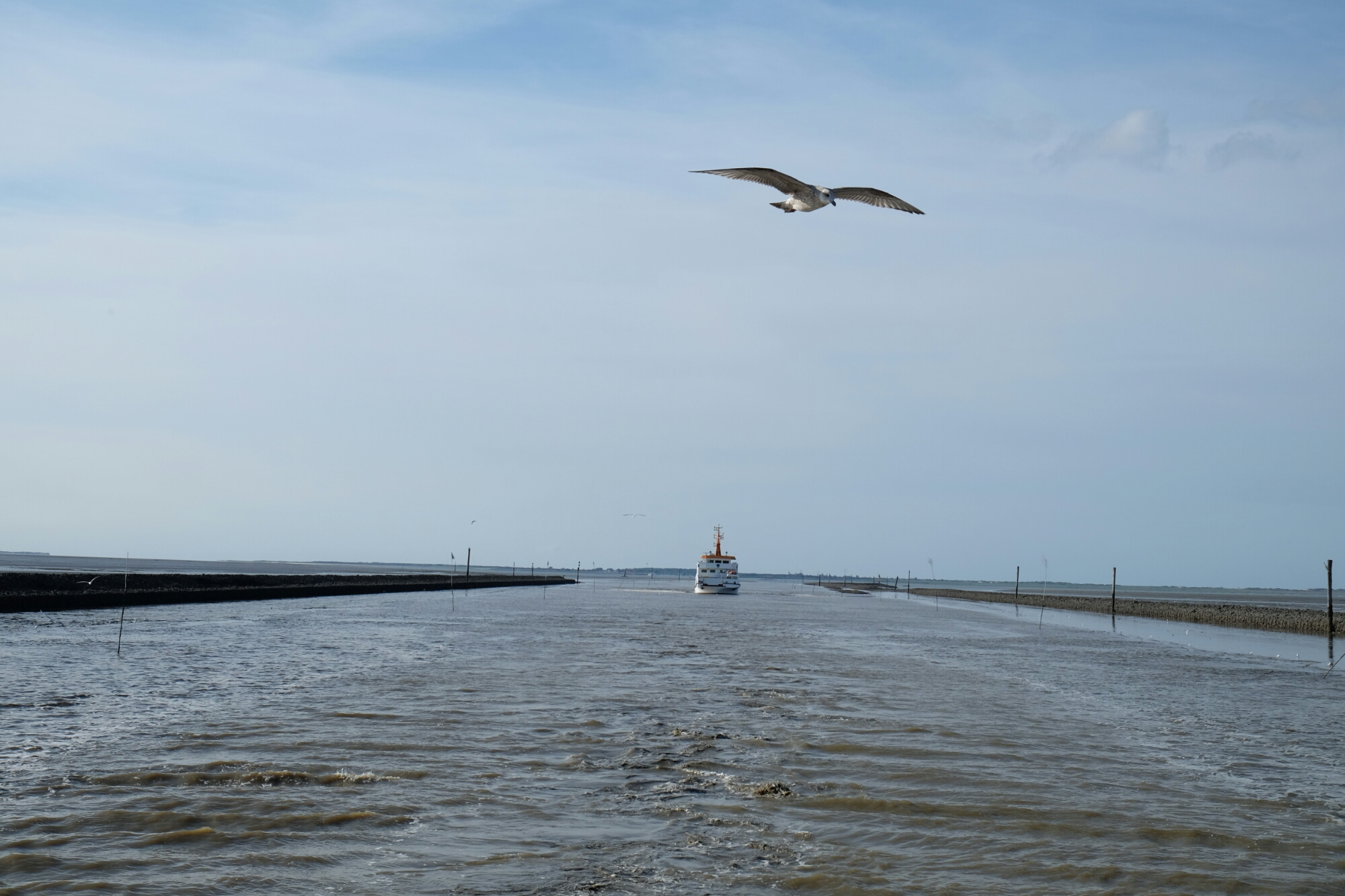 Niedrigwasser bei Bensersiel Niedrigwasser bei Bensersiel