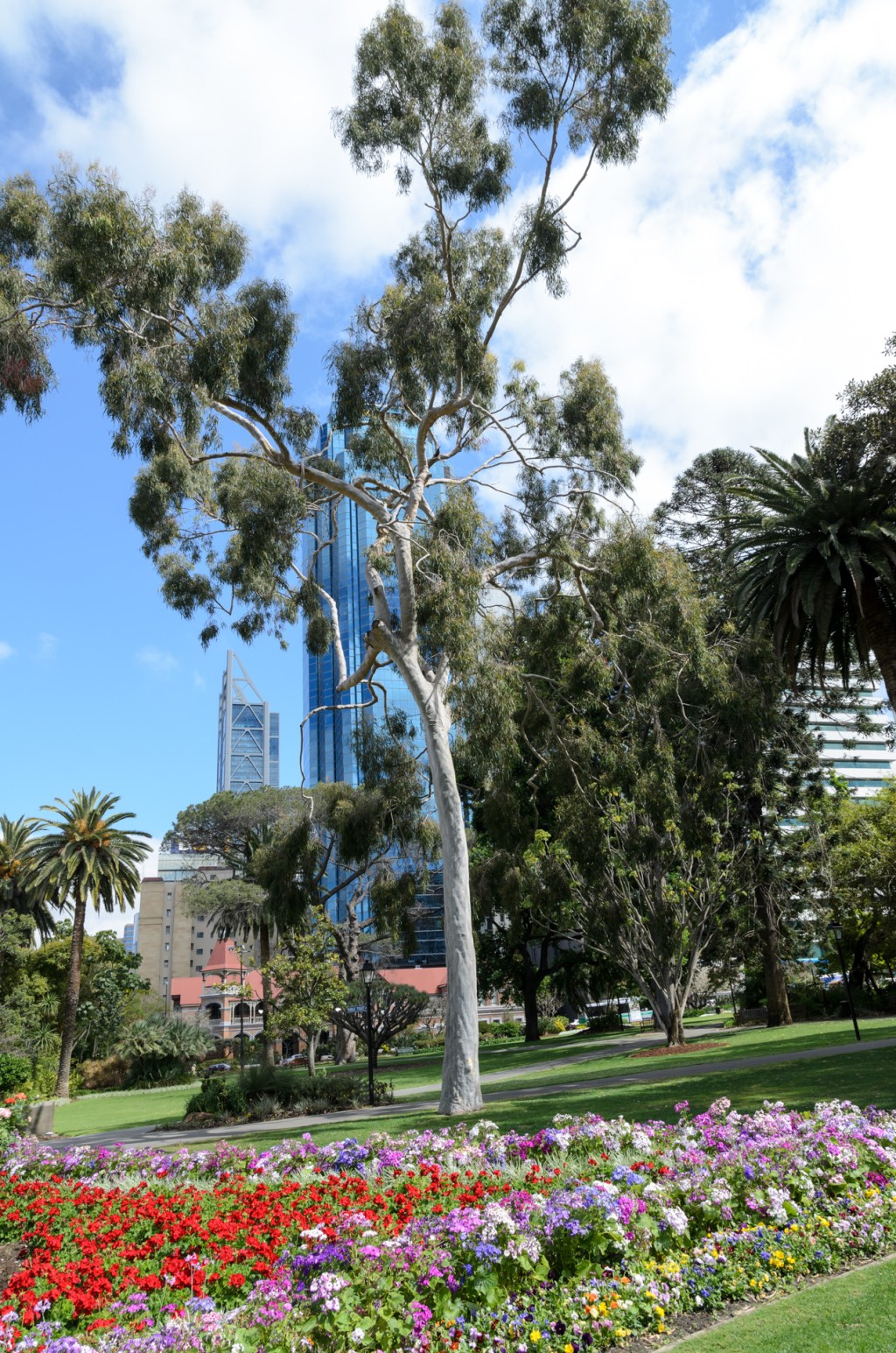 Frühlingstage in Perth