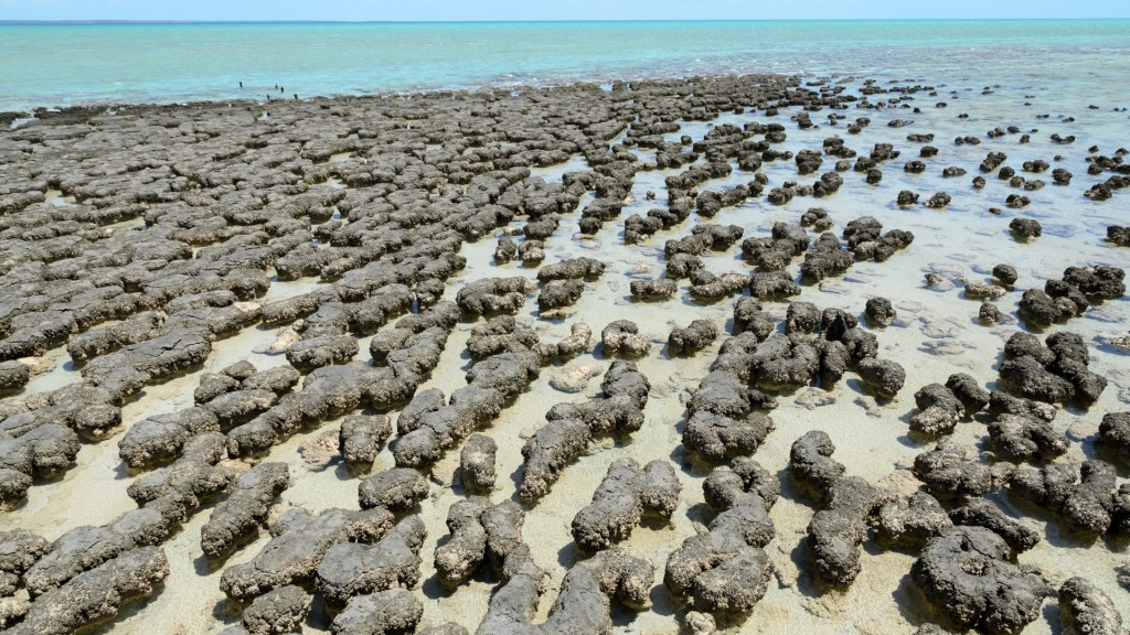 Weswegen wir auf dieser Erde leben&nbsp;können