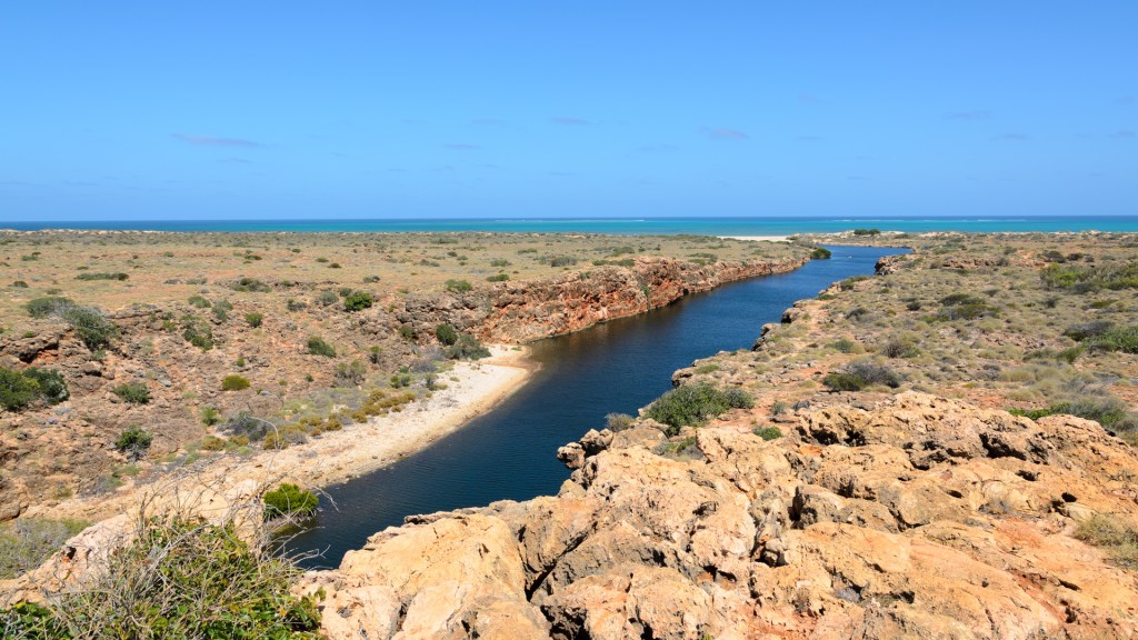Faszinierende Tierwelt im Yardie&nbsp;Creek