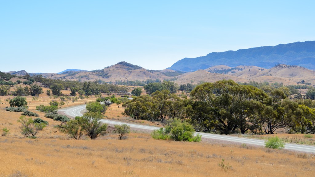 Bushwalking in Flinders Ranges NP