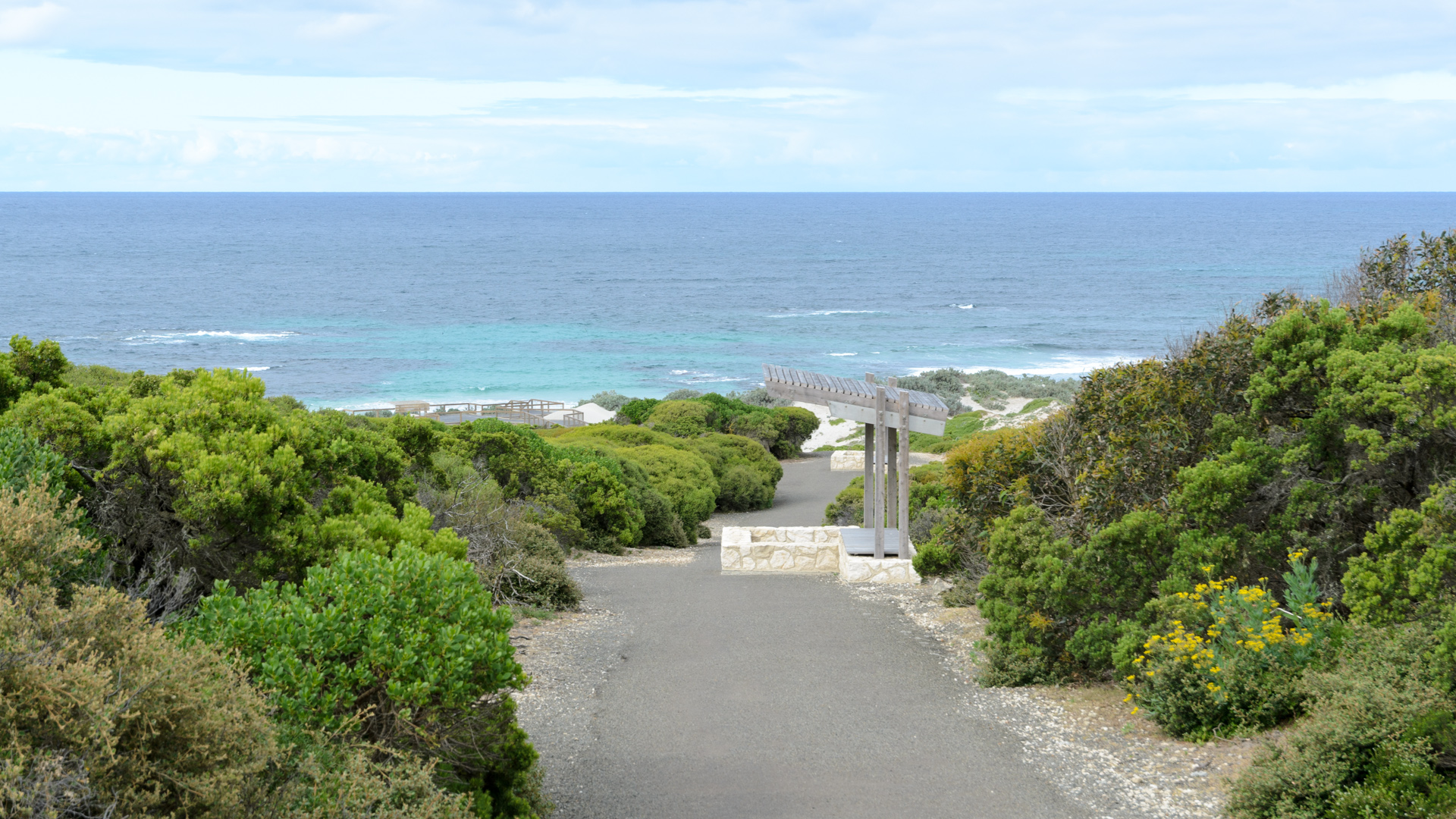 Weg zur Seal Bay 20131121 DSC_6258.jpg
