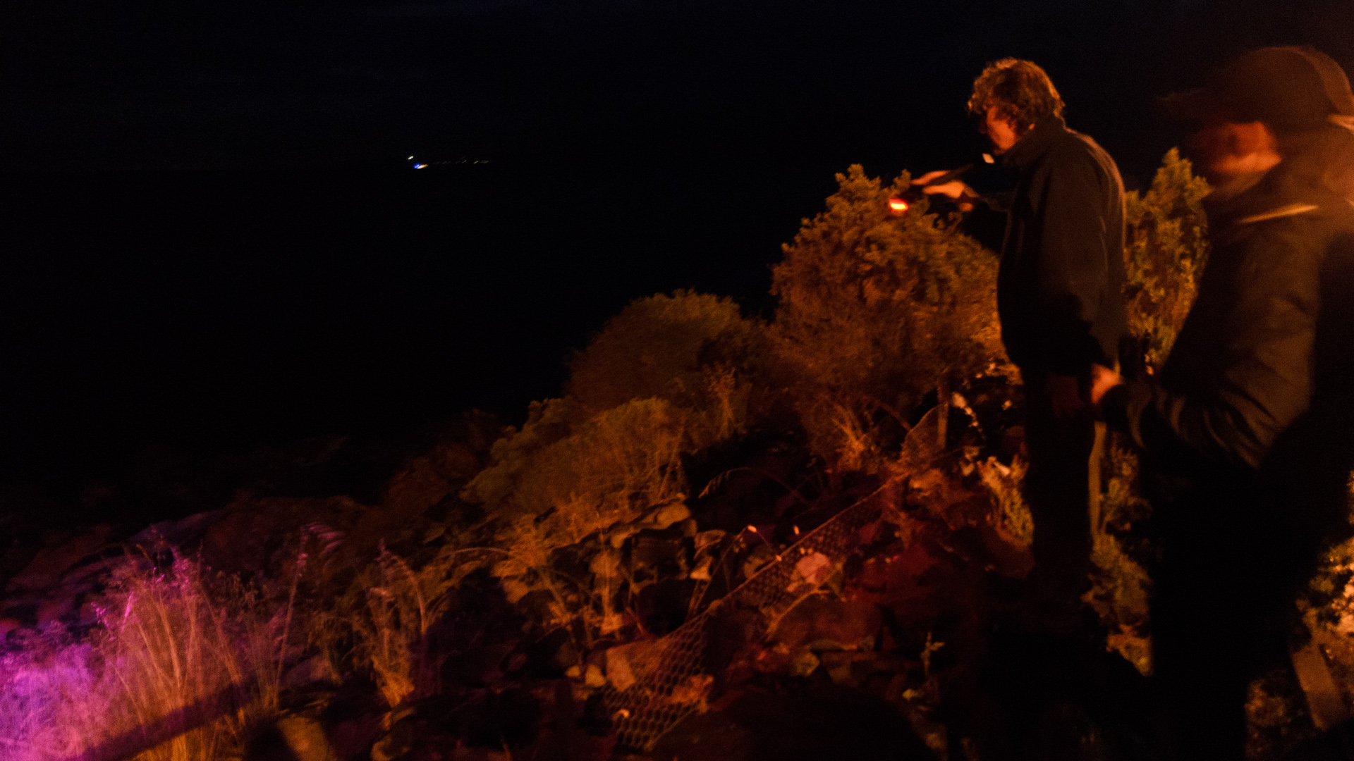 Quest for Little Penguin 20131122 DSC_6874.jpg