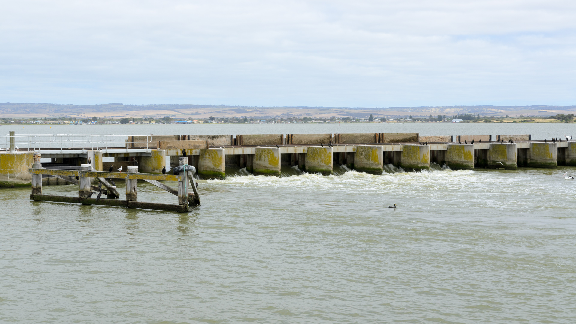 Sperrwerk des Murray River 20131124 DSC_6934.jpg