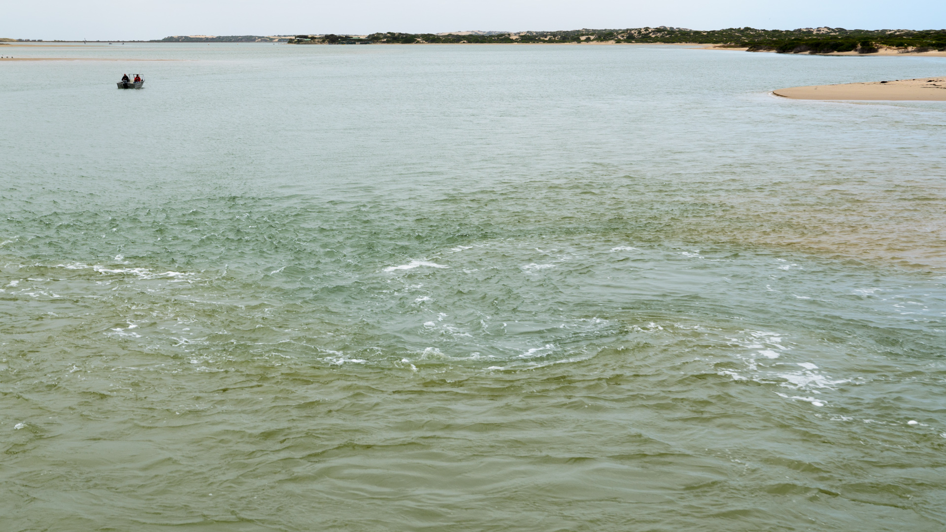 Mündung des Murray River 20131124 DSC_6993.jpg