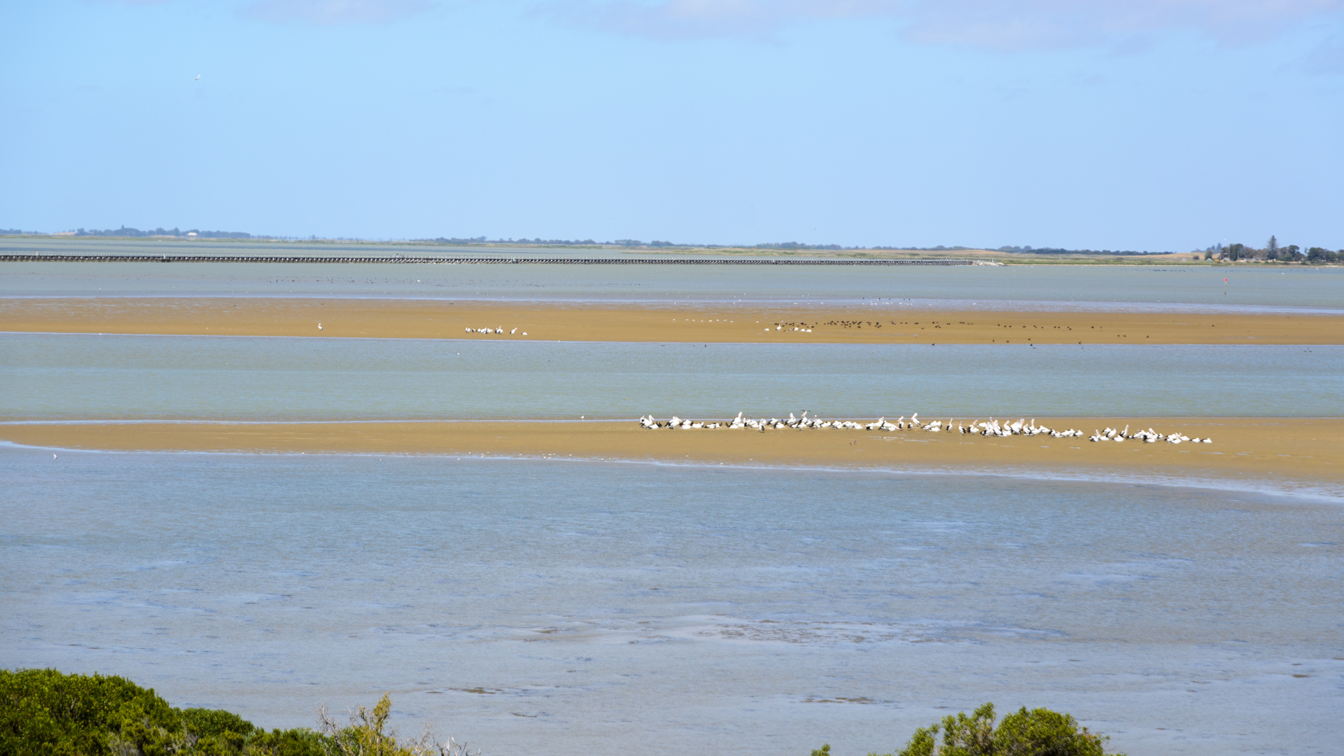 Noch mehr Sandbänke 20131124 DSC_7090.jpg