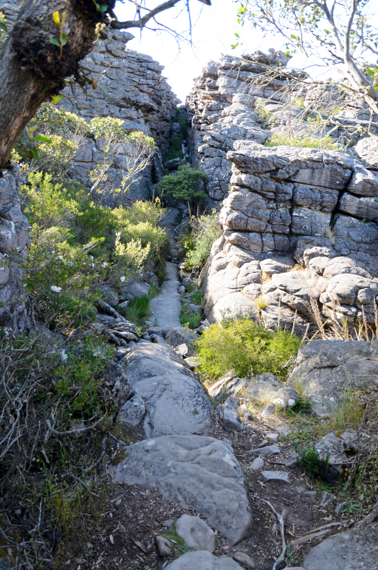 Wonderland 20131126 DSC_7164.jpg