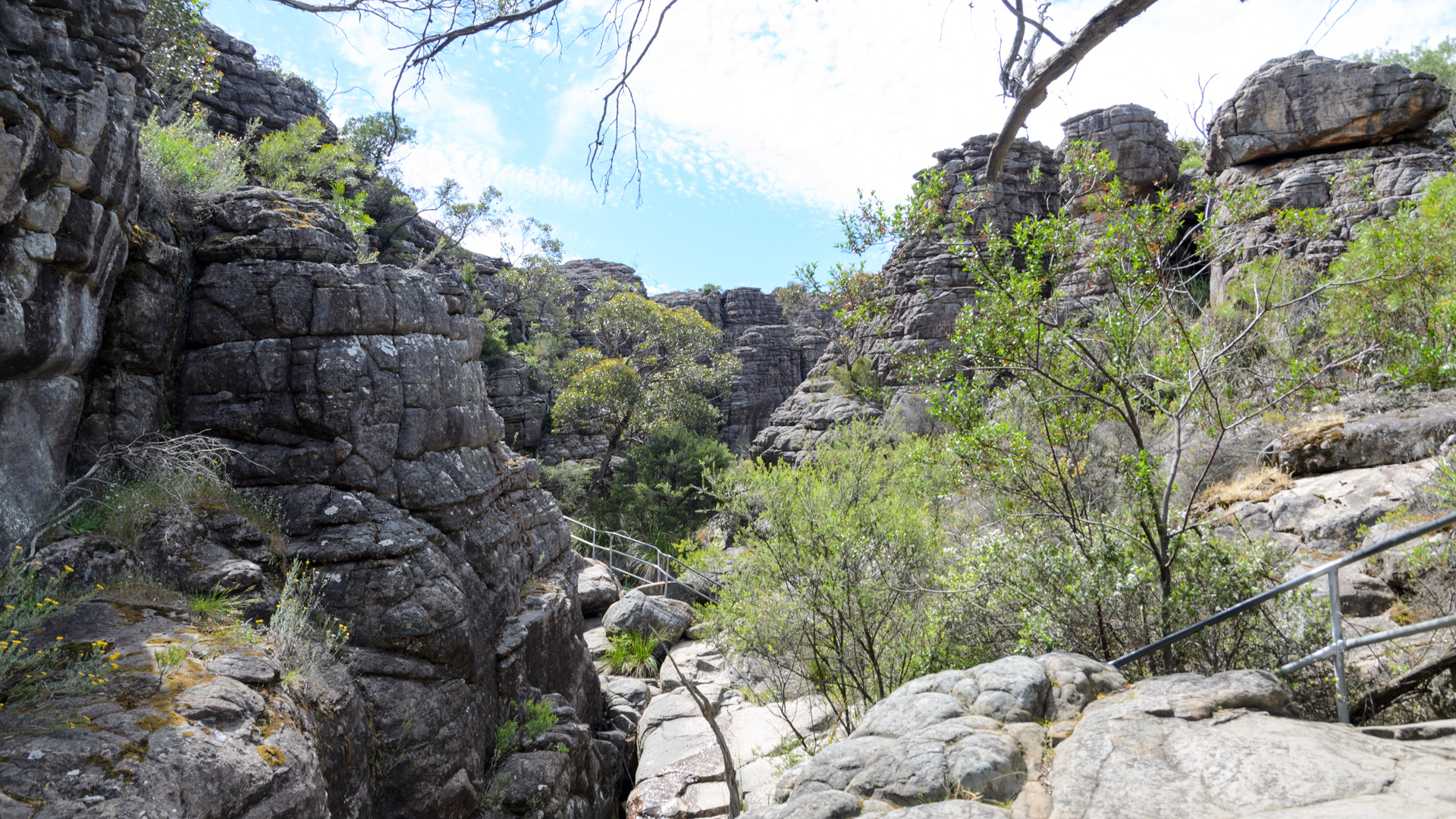 Wonderland 20131126 DSC_7227.jpg