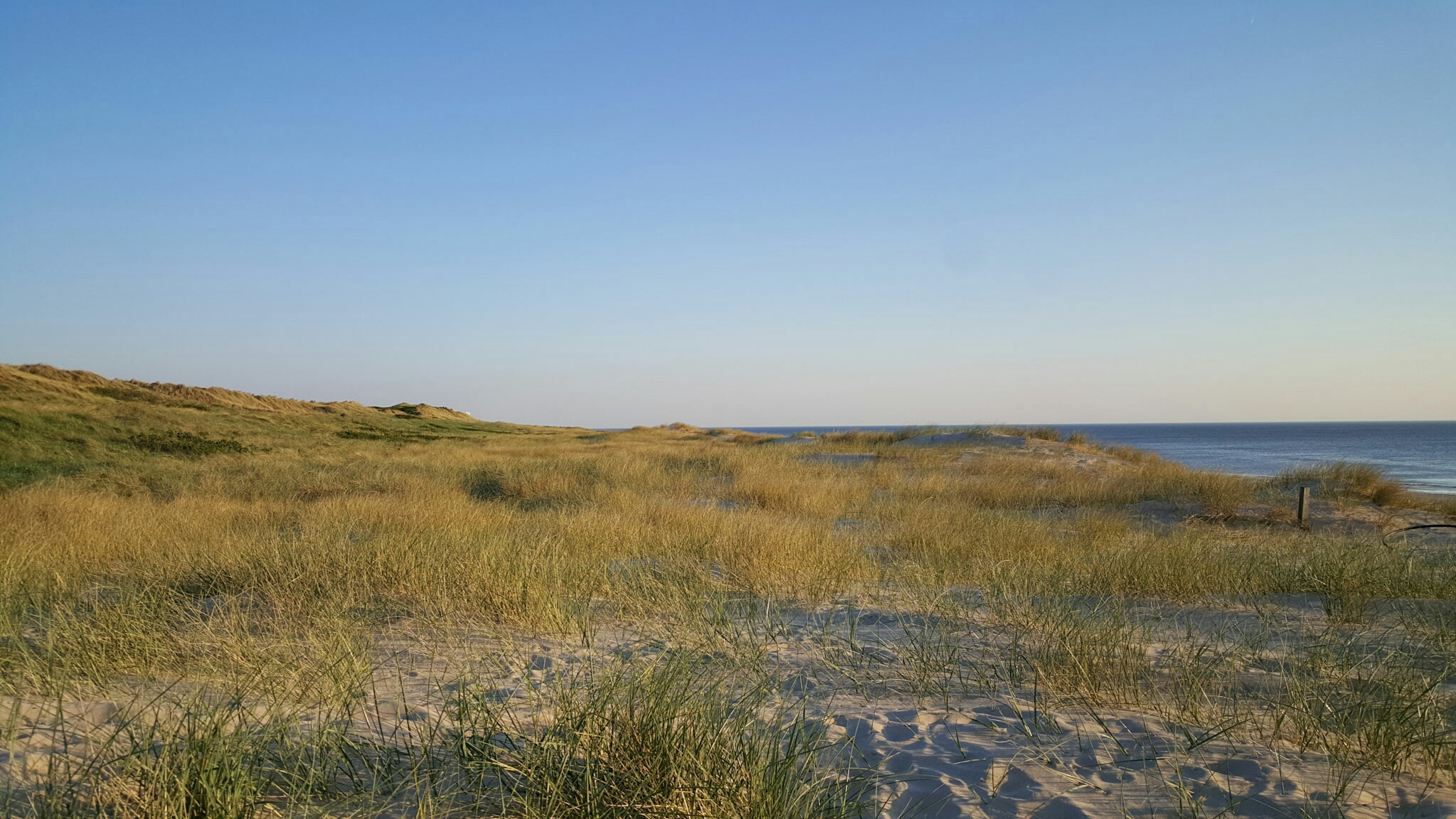 Abendstimmung an den Rantumer Dünen