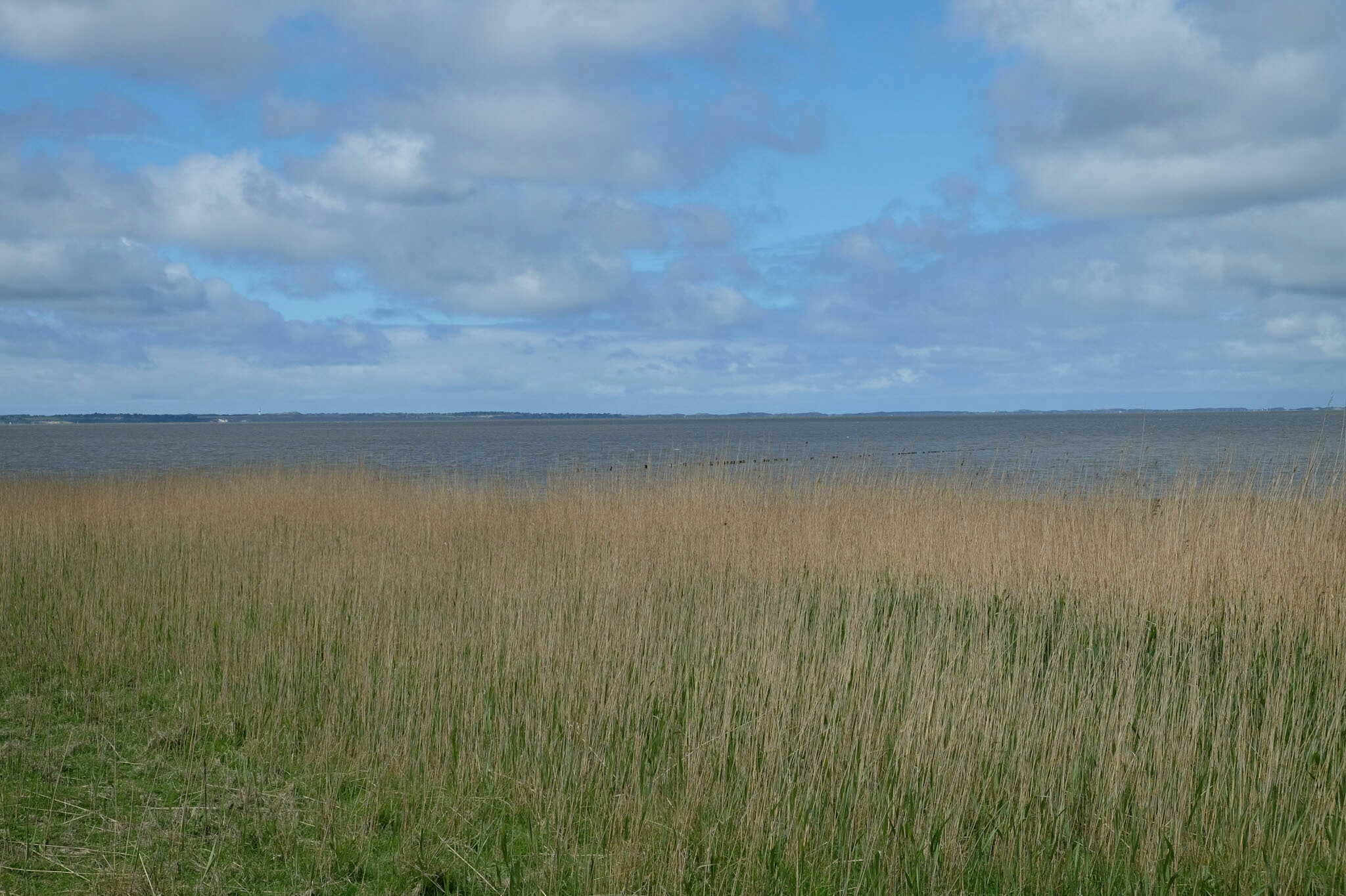 Blick vom Fuss des Morsum-Kliff Richtung Listland