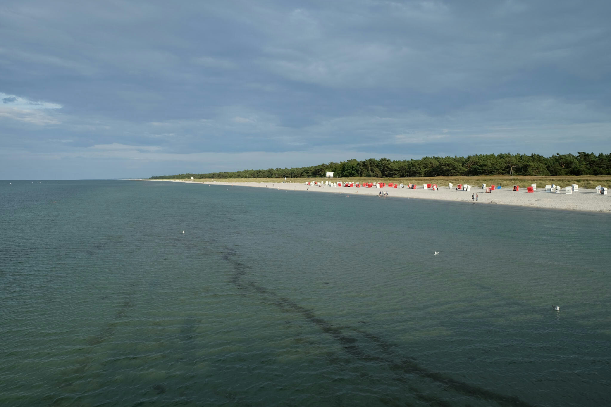 Blick auf Strand bei der Prerower Seebrücke