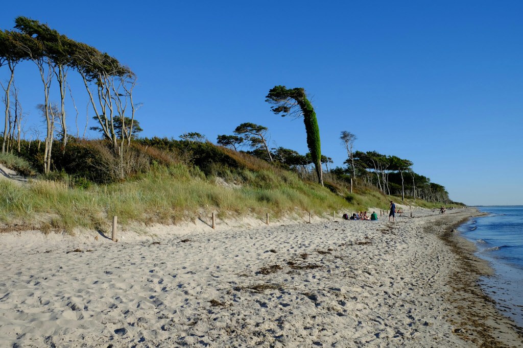 Darsser Leuchtturm im&nbsp;Abendlicht
