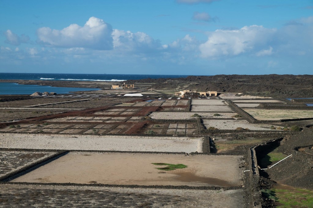 Salz für die Überfahrt in die neue&nbsp;Welt