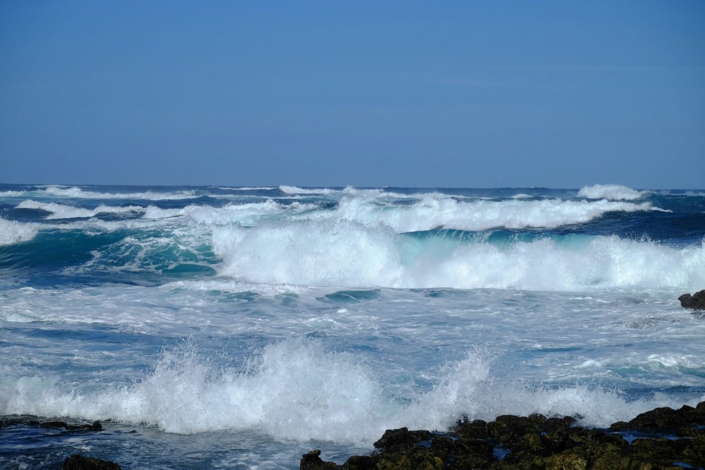 Jallos – Strandgut als Holzlieferant