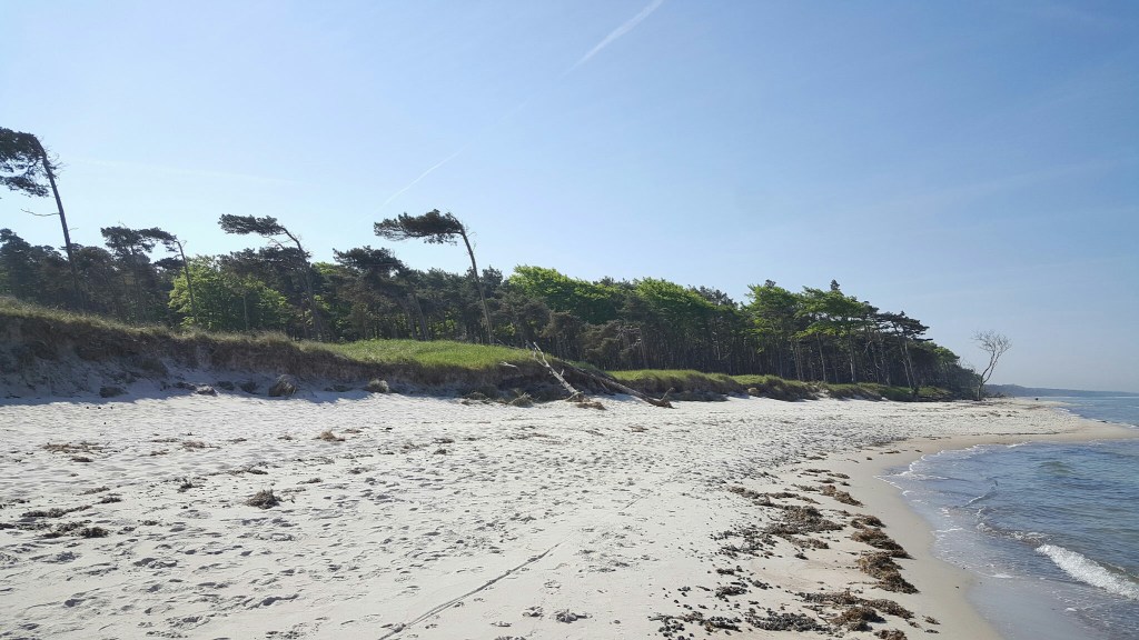 Frühlingstage auf dem&nbsp;Darss