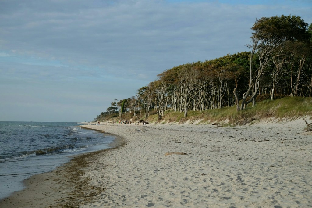 Sommerabend am Darsser&nbsp;Weststrand