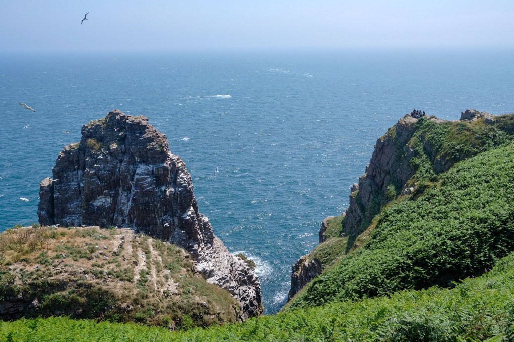 Cap Fréhel – Zwischen der Côte d’Emeraude und der Côte&nbsp;Penthièvre