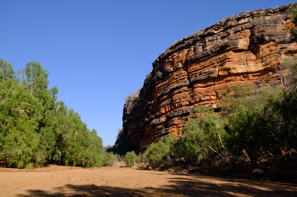 Dichtestress für Süsswasserkrokodile in der Bandilgan&nbsp;Gorge