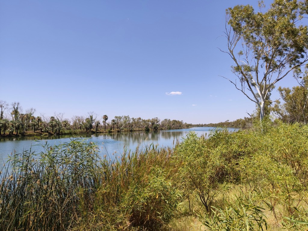 Die grüne Oase am Fortescue River im Millstream Chichester&nbsp;NP