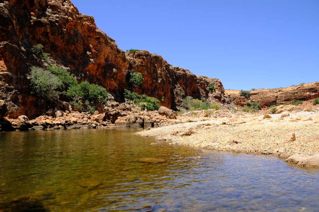 Yardie Creek Boat Tour – Auch das zweite Mal ein tolles Erlebnis