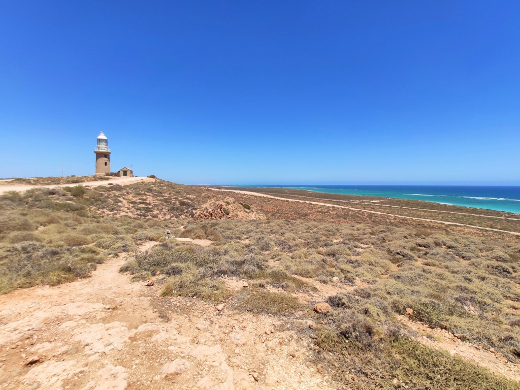 Cape Range NP und Ningaloo Reef: Leuchtende Farben, vielfältige Tierwelt, kräftiger Südwestwind