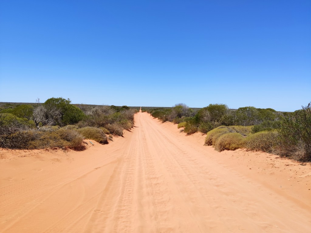 Ein abgebrochener Ausflug ans Cape Peron ist auch ein Abenteuer…