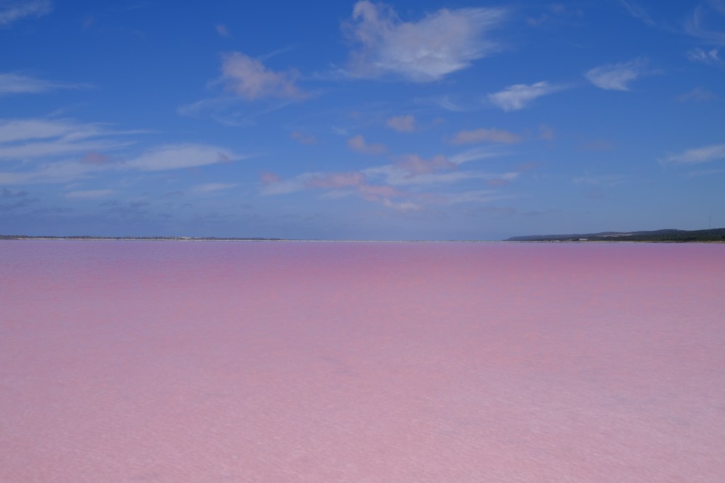 Rosa Wolken über Pink Lake (Hutt Lagoon)