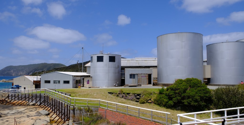 Albanys historische Whaling Station