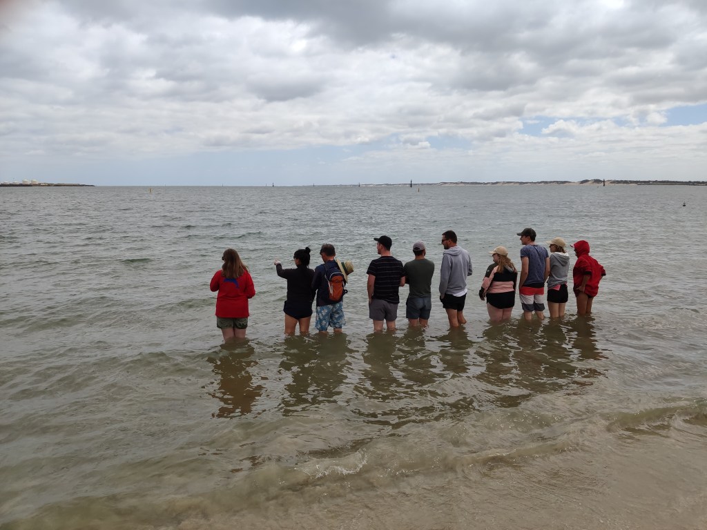 Dolphin Discovery Center in&nbsp;Bunbury