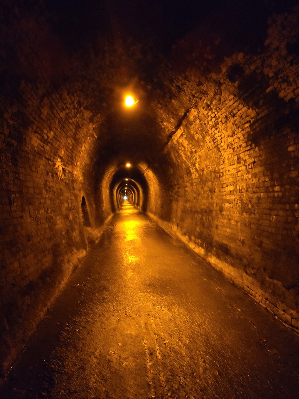 Auf den Spuren der historischen Goldminen im&nbsp;Coromandel