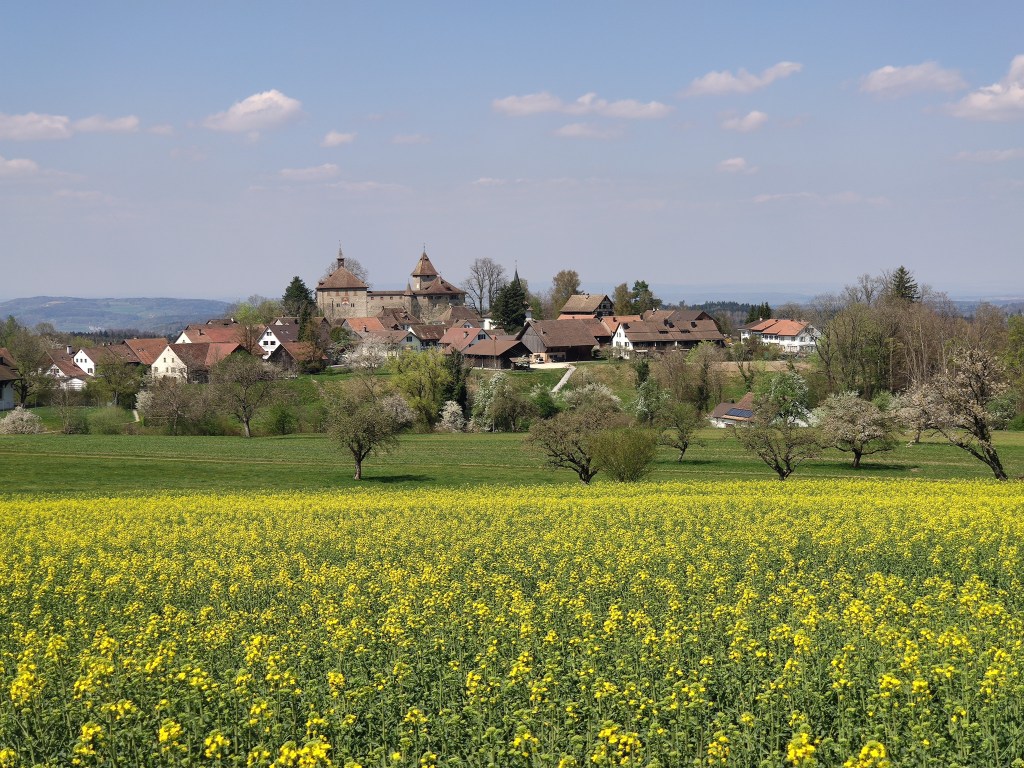 Rundweg zwischen Kyburg und First: Fernsicht in alle Himmelsrichtungen