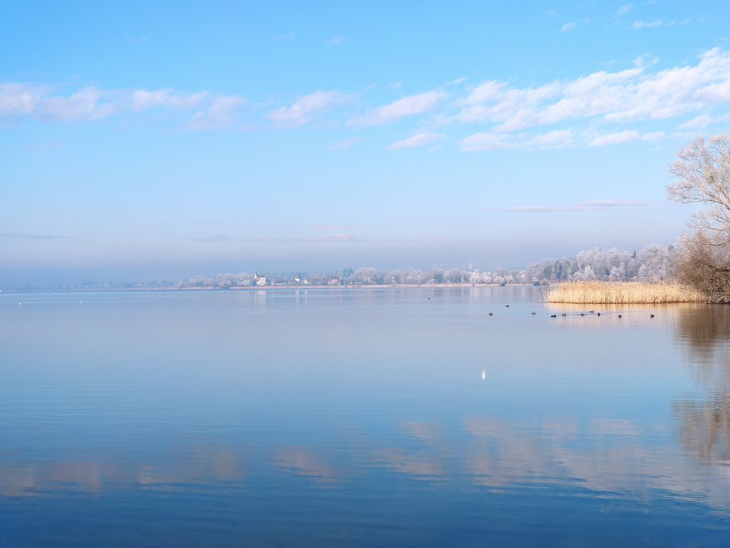 Magische Winterstimmung am&nbsp;Greifensee