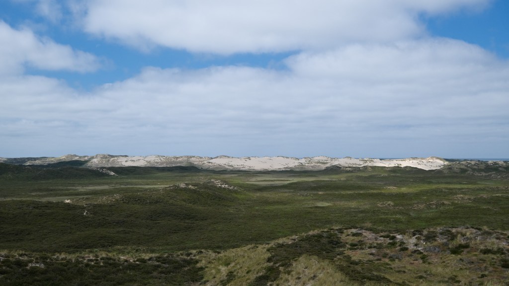 Rundwanderung durch’s Listland: Heide, Watt, Strand und&nbsp;Wanderdüne